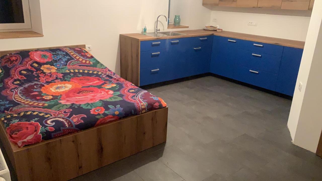 Amazing Apartment Stari Trg pri Lozu 外观 照片